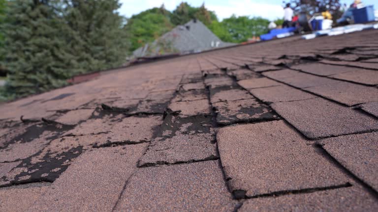 Grand Meadow, MN Roofing Service Company