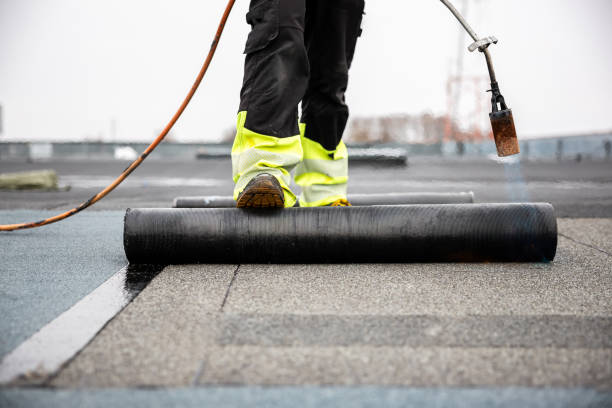 Best Roof Ventilation Installation  in Grand Meadow, MN