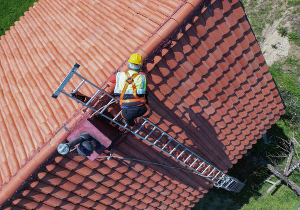 Best Roof Moss and Algae Removal  in Grand Meadow, MN